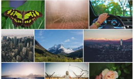 青草视频免费观看,青草视频免费观看，解锁无限精彩