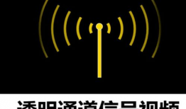 视频信号,视频信号背后的精彩故事