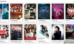 天天碰视频,揭秘热门短视频背后的故事与魅力